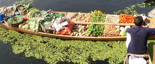
	
	Không bày bán nhiều loại hoa quả giống như các chợ nổi của Thái Lan, những thuyền bán trên sông Dal ở thành phố Srinagar (Ấn Độ) tập trung chủ yếu là các mối hàng rau củ.